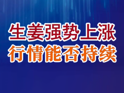 老石說姜：生姜強勢上漲 行情能否持續？ (51播放)