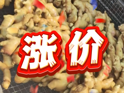 5月21日 生姜價格行情（漲價） (43播放)