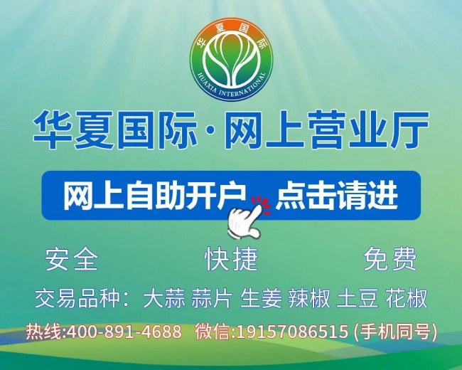 華夏國際
