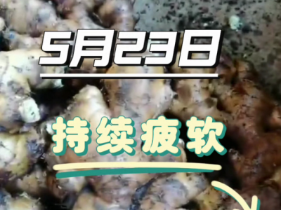 5月23日廣州江南批發市場價格行情 (43播放)