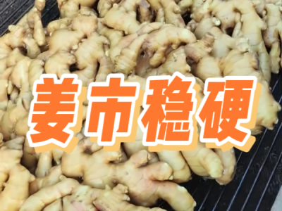 5月23日 生姜價格行情（姜市穩硬） (68播放)