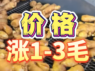 5月27日 生姜價格行情（價格漲1-3毛） (57播放)
