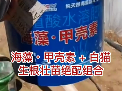遼寧姜友用肥實測 (31播放)