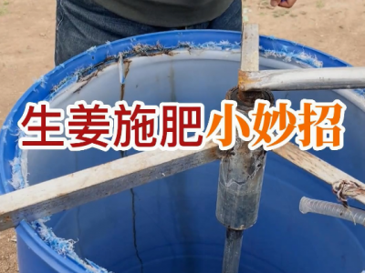 生姜施肥小妙招 (32播放)