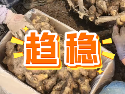 5月30日 安丘黑埠子（趨穩） (30播放)