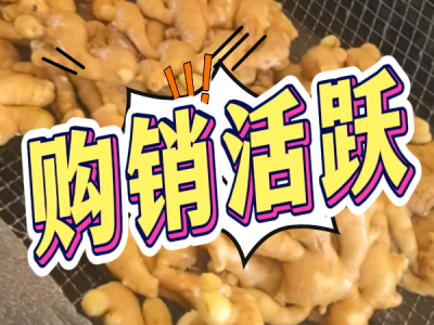 5月31日 生姜價格行情（購銷活躍） (28播放)