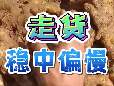 6月3日 安丘黑埠子（走貨穩(wěn)中偏慢） (34播放)