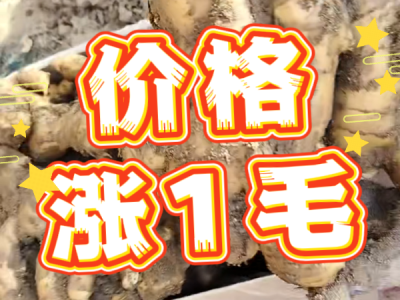 6月4日 安丘黑埠子（價格漲1毛） (31播放)