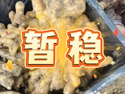 6月5日 安丘黑埠子（暫穩） (24播放)