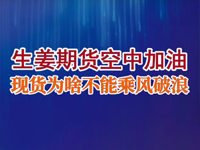 老石說姜：生姜期貨空中加油，現貨是穩坐釣魚臺還是乘風破浪？ (30播放)