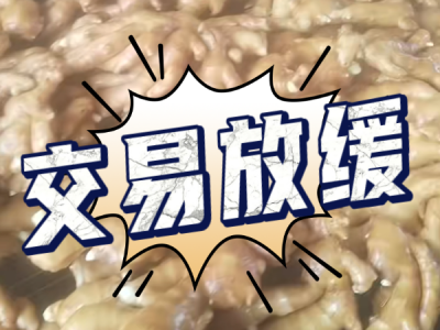6月7日 生姜價格行情（交易放緩） (21播放)