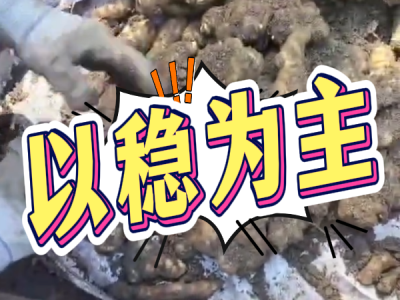6月9日 安丘黑埠子（以穩(wěn)為主） (31播放)