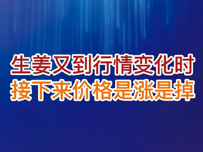 老石說姜：生姜又到行情變化時(shí)，接下來價(jià)格是張是掉？ (29播放)