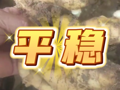 6月10日 安丘黑埠子（平穩(wěn)） (26播放)