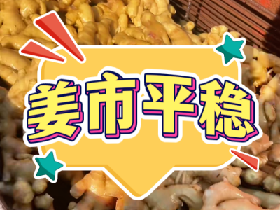 6月10日 生姜價格行情（姜市平穩(wěn)） (21播放)