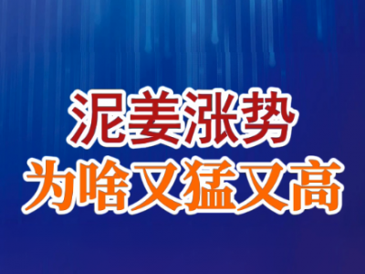 老石說姜：泥姜漲勢為啥又猛又高？ (26播放)