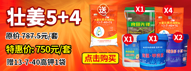 壯姜5+4