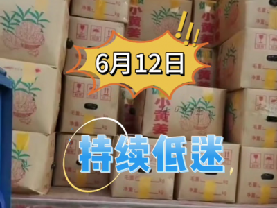 6月12日廣州江南批發(fā)市場(chǎng)生姜價(jià)格行情 (34播放)