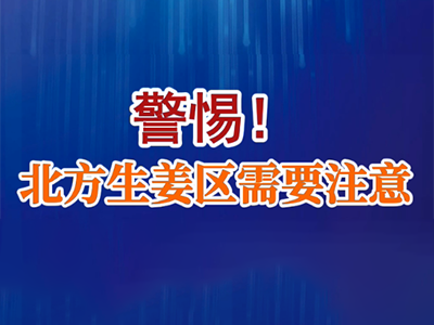 老石說姜：警惕！北方生姜區需要注意 (24播放)