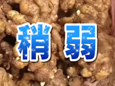 6月14日 安丘黑埠子（稍弱） (25播放)