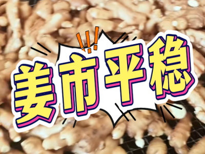 6月16日 生姜價格行情（姜市平穩） (44播放)