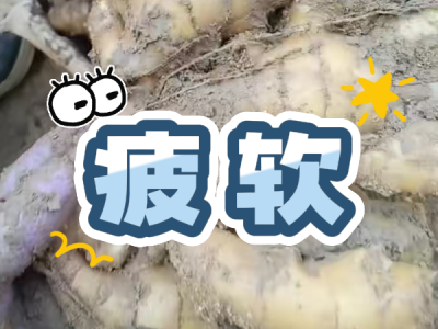 6月16日 安丘黑埠子（疲軟） (23播放)