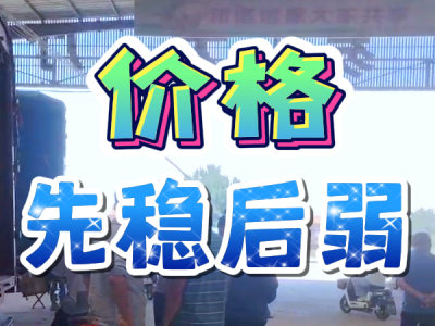 6月17日 安丘黑埠子（價格先穩后弱） (27播放)