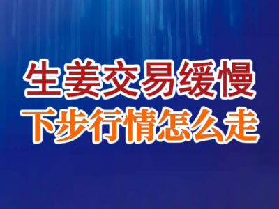 老石說姜：生姜交易緩慢，下步行情怎么走？ (19播放)