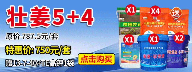 壯姜5+4