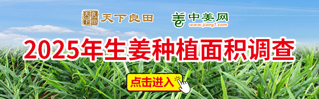 面積調查