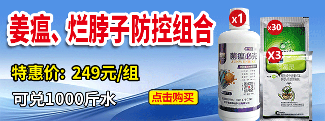 姜瘟、爛脖子防控組合