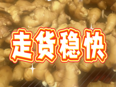 6月19日 生姜價格行情（走貨穩快） (42播放)