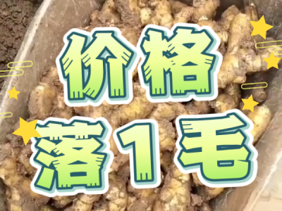 6月21日 安丘黑埠子（價格落1毛） ()