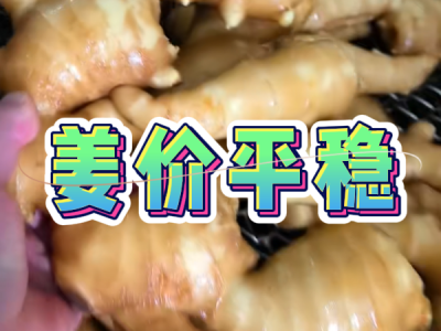 6月23日 生姜價格行情（姜價平穩） ()