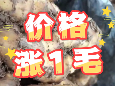 6月25日 安丘黑埠子（價(jià)格漲1毛） (25播放)