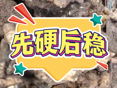 6月26日 安丘黑埠子（先硬后穩(wěn)） (17播放)