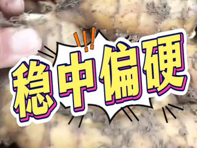 6月27日 安丘黑埠子（穩(wěn)中偏硬） (18播放)