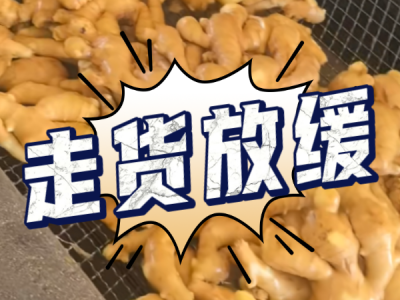 6月28日 生姜價(jià)格行情（走貨放緩） (28播放)