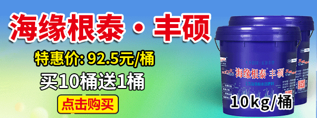 海緣根泰•豐碩