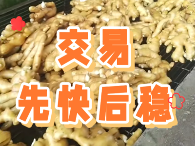 6月30日 生姜價(jià)格行情（交易先快后穩(wěn)） (18播放)