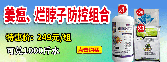 姜瘟、爛脖子防控組合