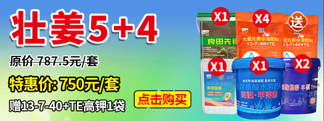 壯姜5+4