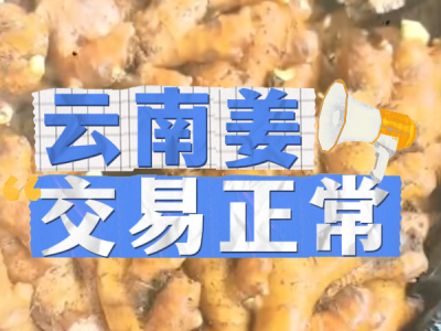 7月2日 生姜價(jià)格行情（云南姜交易正常） (21播放)