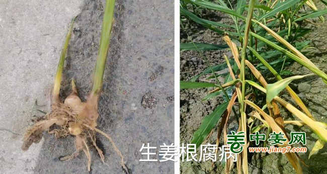 圖片2