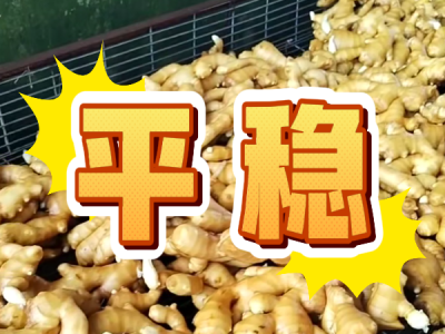 7月3日 生姜價(jià)格行情（平穩(wěn)） (17播放)
