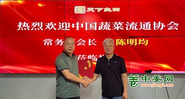 合影