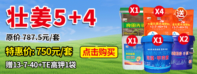 壯姜5+4